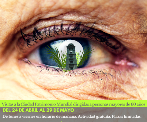 Versión 6- Cartel mayores 2025