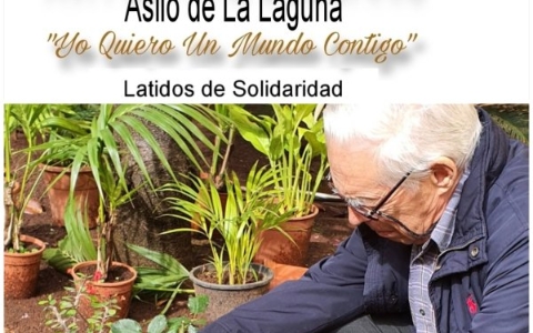asilo