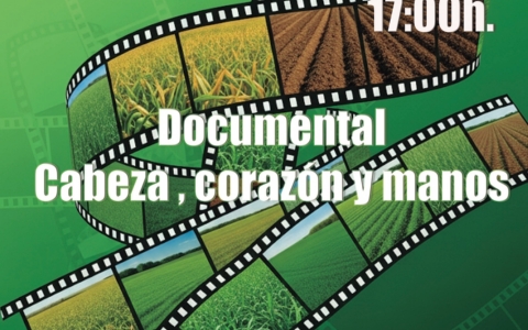 docu.jpg_1635930906