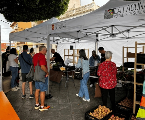 Mercadillo 240525_3