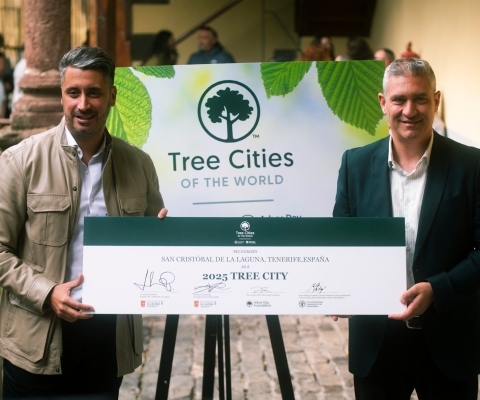 Foto de recurso premio Tree City