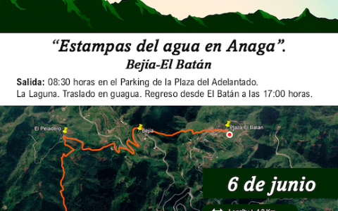 Cartel 1