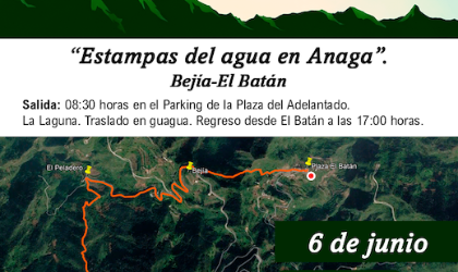 Cartel 1