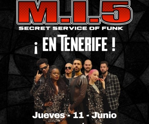 MI5 Secret Service of Funk