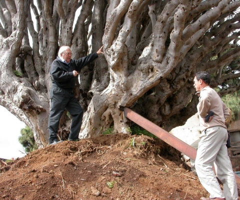 Wildpret_Saavedra_9_marzo_2003