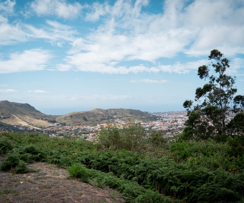 La Laguna desde Mesa Mota