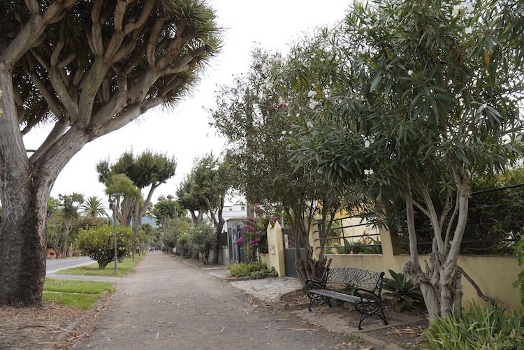 _DSC3788